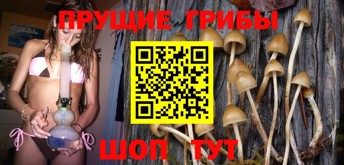 Галлюциногенные грибы MAGIC MUSHROOMS  даркнет сайт  Туймазы  Галлюциногенные грибы Psilocybine cubensis  Вход с VPN 